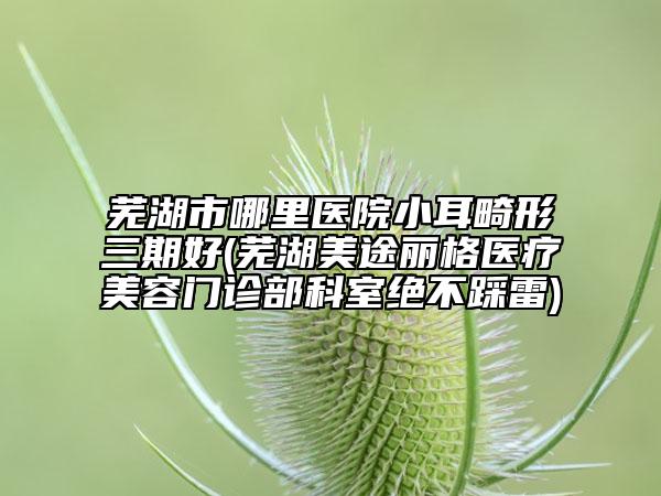 芜湖市哪里医院小耳畸形三期好(芜湖美途丽格医疗美容门诊部科室绝不踩雷)