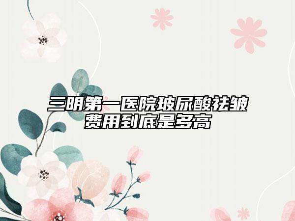 三明第一医院玻尿酸祛皱费用到底是多高