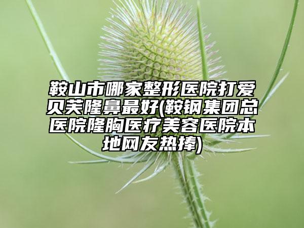鞍山市哪家整形医院打爱贝芙隆鼻最好(鞍钢集团总医院隆胸医疗美容医院本地网友热捧)