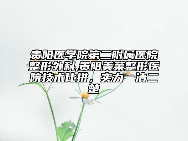 贵阳医学院第二附属医院整形外科,贵阳美莱整形医院技术比拼，实力一清二楚