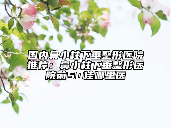 国内鼻小柱下垂整形医院推荐：鼻小柱下垂整形医院前50佳哪里医