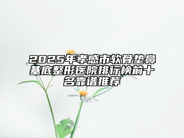 2025年孝感市软骨垫鼻基底整形医院排行榜前十名靠谱推荐
