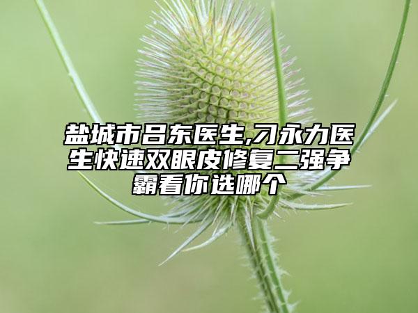 盐城市吕东医生,刁永力医生快速双眼皮修复二强争霸看你选哪个