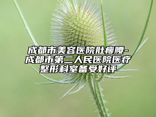 成都市美容医院肚瘦腰-成都市第二人民医院医疗整形科室备受好评