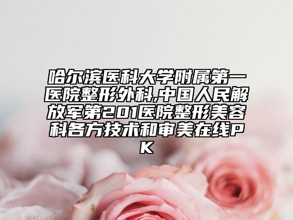 哈尔滨医科大学附属第一医院整形外科,中国人民解放军第201医院整形美容科各方技术和审美在线PK