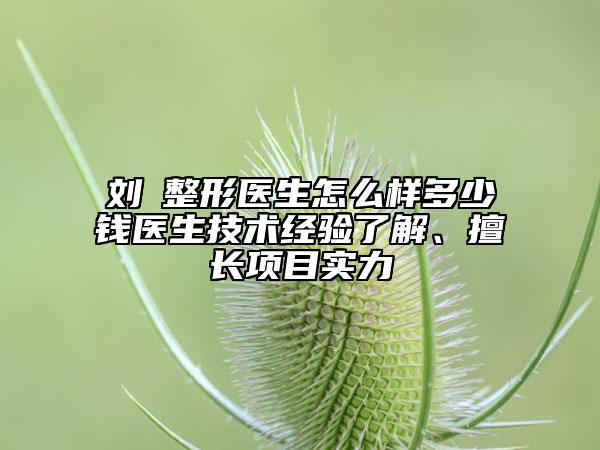 刘喆整形医生怎么样多少钱医生技术经验了解、擅长项目实力