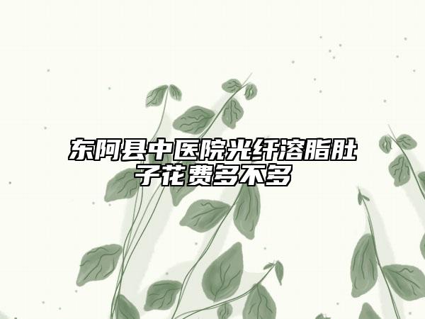 东阿县中医院光纤溶脂肚子花费多不多