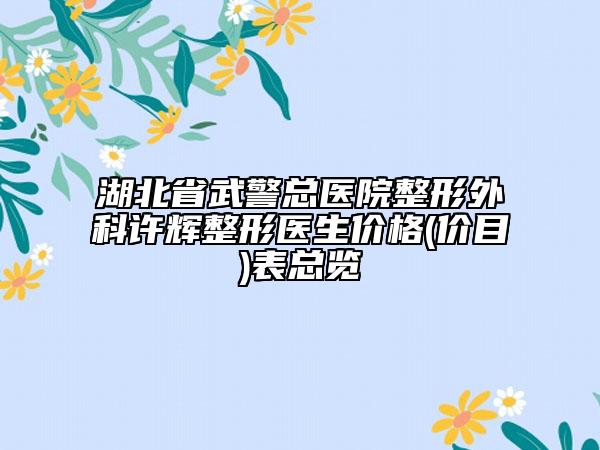 湖北省武警总医院整形外科许辉整形医生价格(价目)表总览