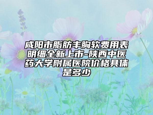 咸阳市脂肪丰胸软费用表明细全新上市-陕西中医药大学附属医院价格具体是多少