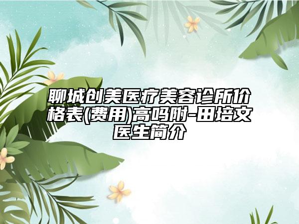 聊城创美医疗美容诊所价格表(费用)高吗附-田培文医生简介