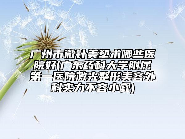 广州市微针美塑术哪些医院好(广东药科大学附属第一医院激光整形美容外科实力不容小觑)