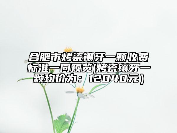 合肥市烤瓷镶牙一颗收费标准一同预览(烤瓷镶牙一颗均价为：12040元）