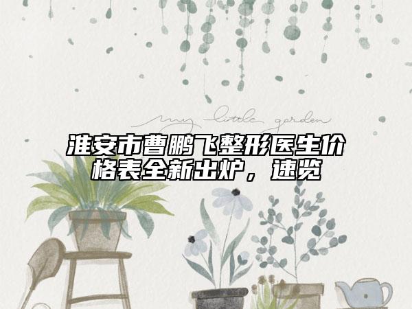 淮安市曹鹏飞整形医生价格表全新出炉，速览