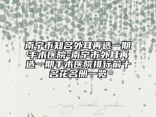 南宁市知名外耳再造一期手术医院-南宁市外耳再造一期手术医院排行前十名花名册一览