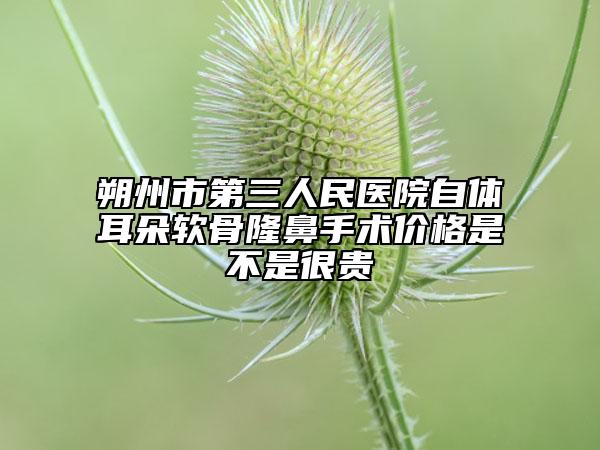 朔州市第三人民医院自体耳朵软骨隆鼻手术价格是不是很贵