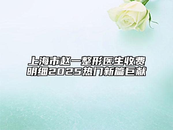 上海市赵一整形医生收费明细2025热门新篇巨献