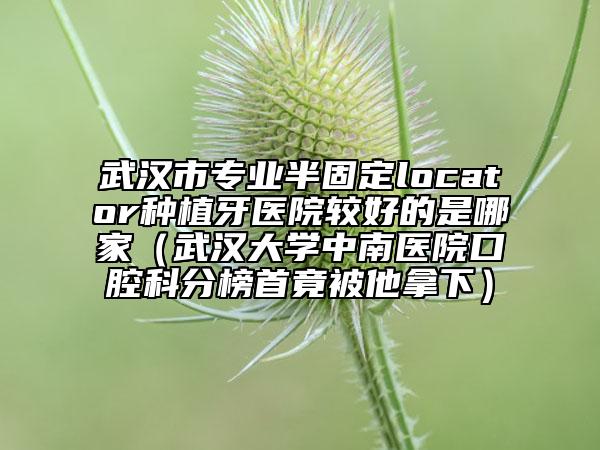 武汉市专业半固定locator种植牙医院较好的是哪家（武汉大学中南医院口腔科分榜首竟被他拿下）