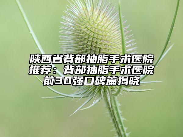陕西省背部抽脂手术医院推荐：背部抽脂手术医院前30强口碑篇揭晓
