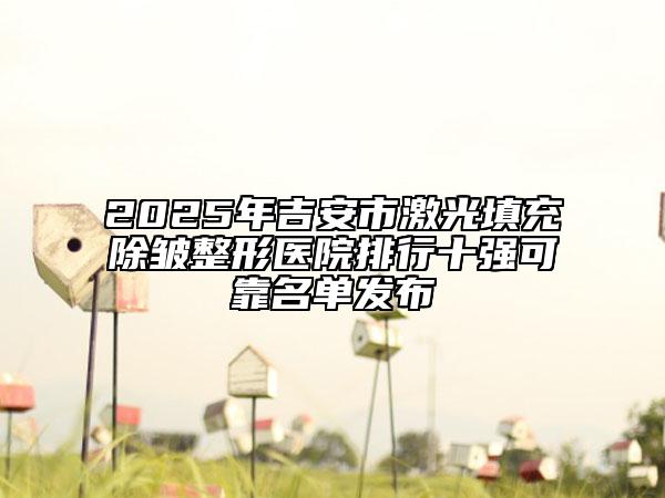 2025年吉安市激光填充除皱整形医院排行十强可靠名单发布