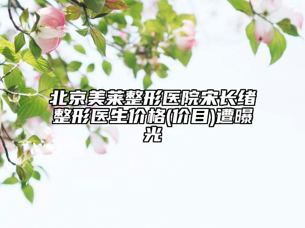 北京美莱整形医院宋长绪整形医生价格(价目)遭曝光