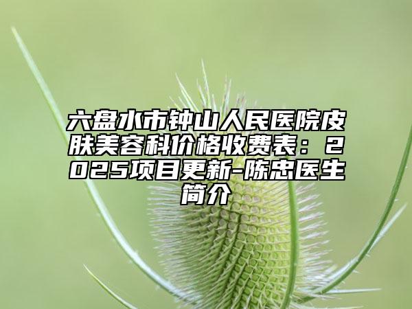 六盘水市钟山人民医院皮肤美容科价格收费表：2025项目更新-陈忠医生简介