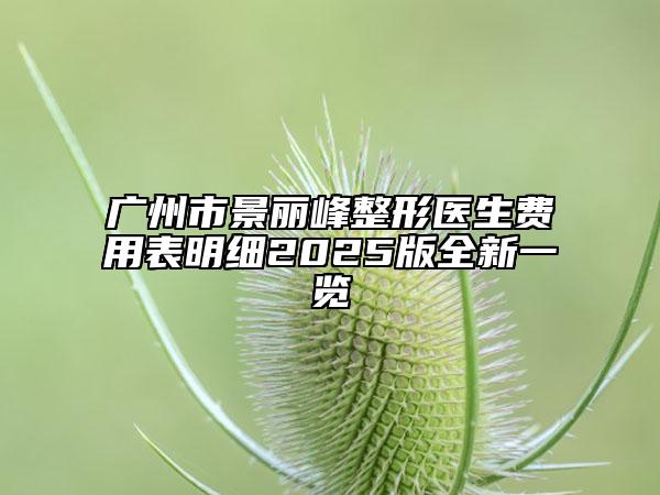 广州市景丽峰整形医生费用表明细2025版全新一览