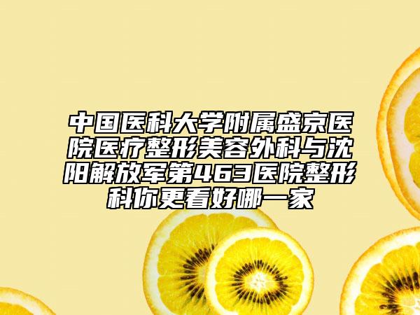 中国医科大学附属盛京医院医疗整形美容外科与沈阳解放军第463医院整形科你更看好哪一家
