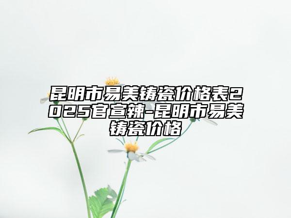 昆明市易美铸瓷价格表2025官宣辣-昆明市易美铸瓷价格