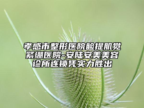 孝感市整形医院睑提肌觉紧绷医院-安陆安美美容诊所连锁凭实力胜出