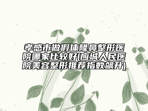 孝感市做假体隆鼻整形医院哪家比较好(应城人民医院美容整形推荐指数飙升)
