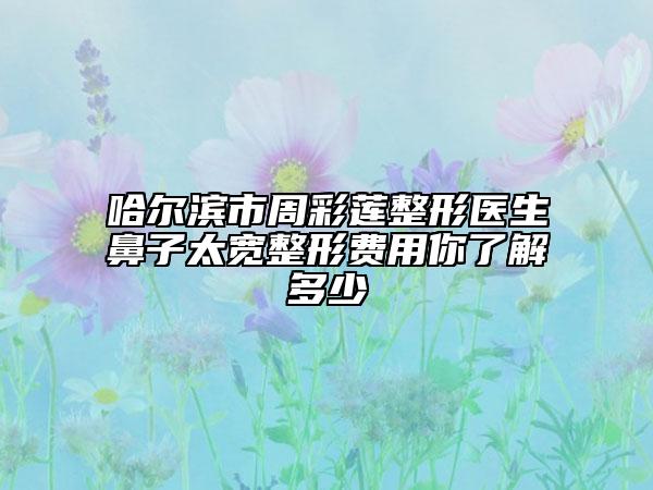 哈尔滨市周彩莲整形医生鼻子太宽整形费用你了解多少
