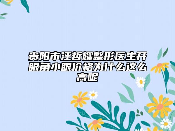 贵阳市汪哲耀整形医生开眼角小眼价格为什么这么高呢