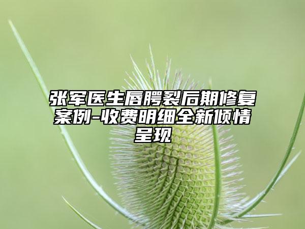 张军医生唇腭裂后期修复案例-收费明细全新倾情呈现