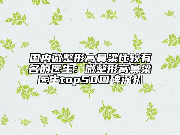 国内微整形高鼻梁比较有名的医生：微整形高鼻梁医生top50口碑深扒