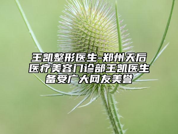王凯整形医生-郑州天后医疗美容门诊部王凯医生备受广大网友美誉