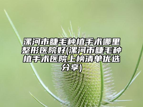 漯河市睫毛种植手术哪里整形医院好(漯河市睫毛种植手术医院上榜清单优选分享)