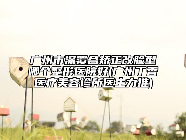 广州市深覆合矫正改脸型哪个整形医院好(广州丁香医疗美容诊所医生力推)