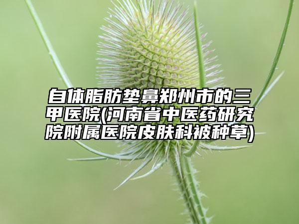 自体脂肪垫鼻郑州市的三甲医院(河南省中医药研究院附属医院皮肤科被种草)