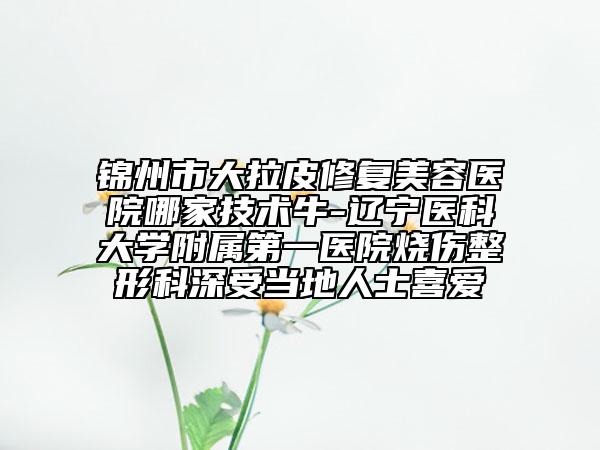 锦州市大拉皮修复美容医院哪家技术牛-辽宁医科大学附属第一医院烧伤整形科深受当地人士喜爱