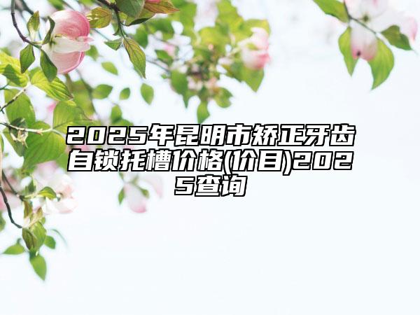 2025年昆明市矫正牙齿自锁托槽价格(价目)2025查询