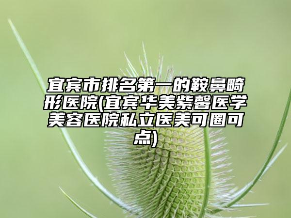 宜宾市排名第一的鞍鼻畸形医院(宜宾华美紫馨医学美容医院私立医美可圈可点)