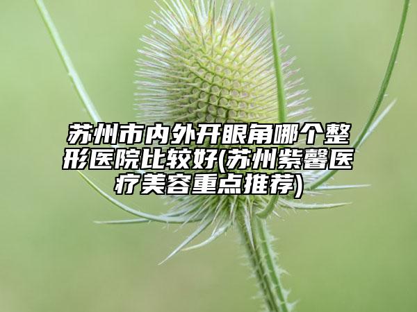 苏州市内外开眼角哪个整形医院比较好(苏州紫馨医疗美容重点推荐)