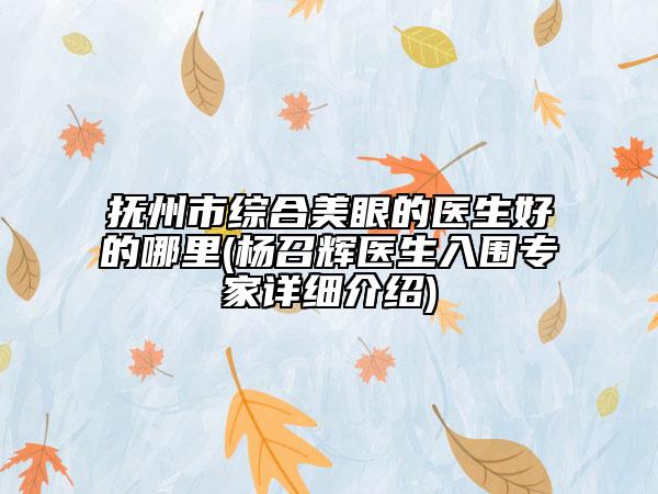 抚州市综合美眼的医生好的哪里(杨召辉医生入围专家详细介绍)