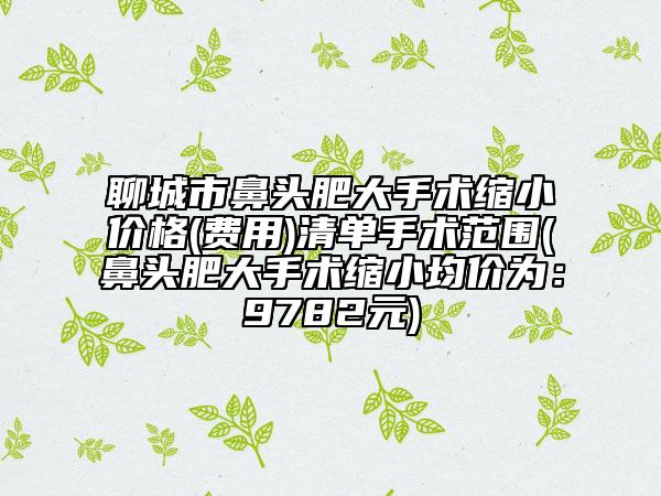 聊城市鼻头肥大手术缩小价格(费用)清单手术范围(鼻头肥大手术缩小均价为：9782元)