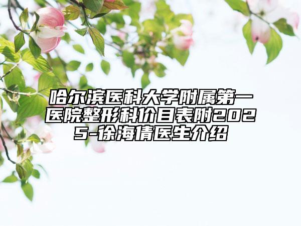 哈尔滨医科大学附属第一医院整形科价目表附2025-徐海倩医生介绍
