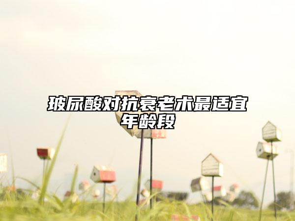 玻尿酸对抗衰老术最适宜年龄段