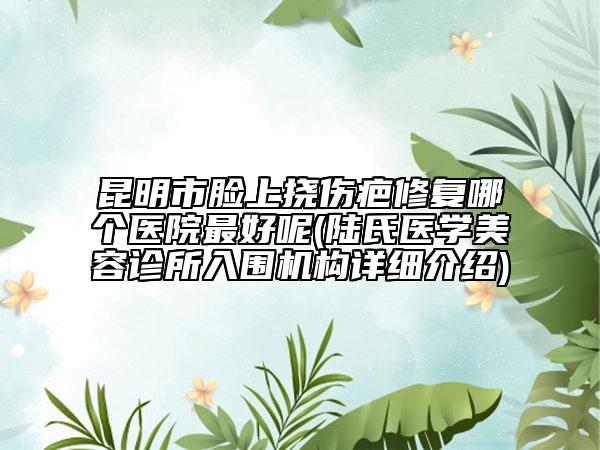昆明市脸上挠伤疤修复哪个医院最好呢(陆氏医学美容诊所入围机构详细介绍)