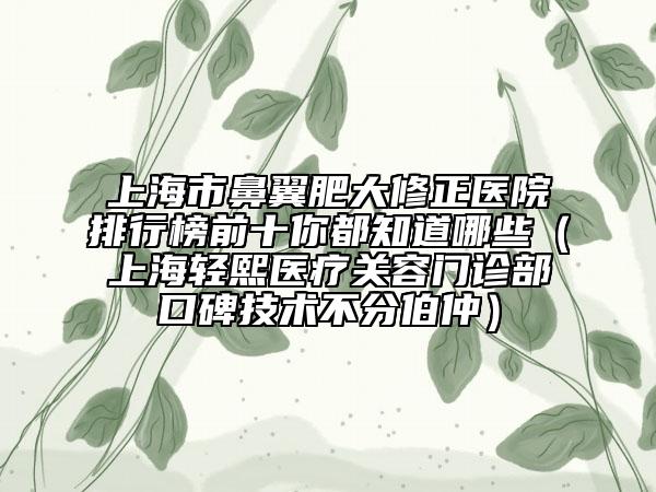 上海市鼻翼肥大修正医院排行榜前十你都知道哪些（上海轻熙医疗关容门诊部口碑技术不分伯仲）