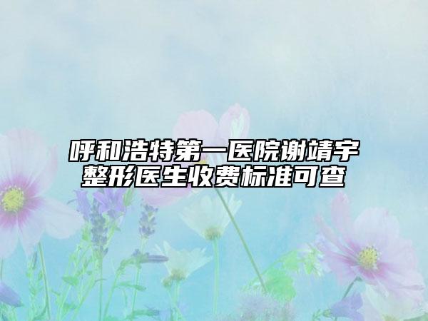 呼和浩特第一医院谢靖宇整形医生收费标准可查