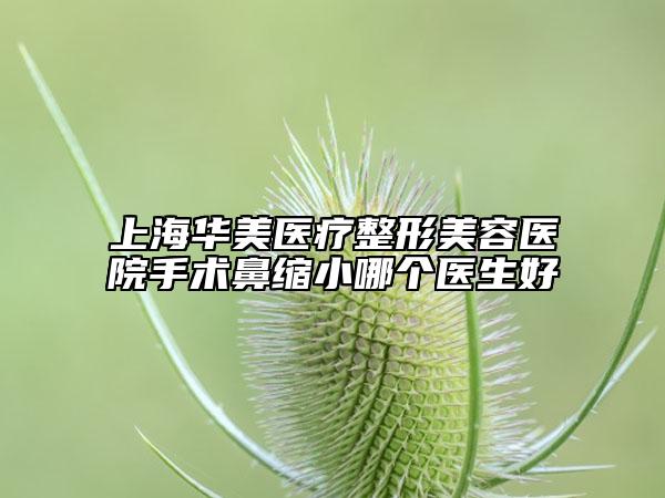 上海华美医疗整形美容医院手术鼻缩小哪个医生好
